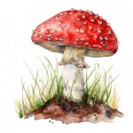 20 High-Quality Clipart - Toadstool digital watercolor JPG instant download for commercial use - Digital download
