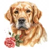 20 High-Quality Golden Retriever Clipart - Golden retriever digital watercolor JPG instant download for commercial use - Digital download