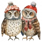 20 High-Quality Winter Owls Clipart - Winter owls watercolor JPG instant download for commercial use - Digital download
