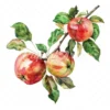 20 High-Quality Apple Branch Clipart - Apple branch watercolor JPG instant download for commercial use - Digital download