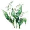 20 High-Quality Lily Of Valley Clipart - Lily of the valley digital watercolor JPG instant download for commercial use - Digital download