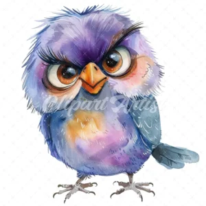 21 High-Quality Cute Grumpy Birds Clipart - Cute grumpy birds digital watercolor JPG instant download for commercial use - Digital download