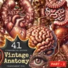 Vintage Anatomy (P-2) PNG Clipart Collection - 41 PNG, Classic medical illustrations, Classic artwork, Commercial use, Digital download