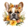 20 High-Quality French Cute Bulldog Clipart - Cute bulldog digital watercolor JPG instant download for commercial use - Digital download