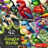 Jungle Birds PNG Clipart Collection - 42 PNG, Exotic feathered graphics, Tropical bird art, Commercial use, Digital downloadv