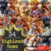Highland Cows PNG Clipart Collection - 34 PNG, Cute cow illustrations, Charming highland cattle art, Commercial use, Digital download