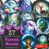 Forest Moons PNG Clipart Collection - 37 PNG, Moonlit fantasy illustrations, Forest magic printables, Commercial use, Digital download