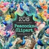 Peacocks Watercolor Clipart Bundle - 205+ transparent PNG, Regal bird illustrations, Colorful peacocks png, Commercial use, Digital download