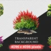 Bushes Watercolor Clipart Bundle - 625+ transparent PNG, Vibrant garden shrub graphics, Lush foliage png, Commercial use, Digital download