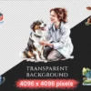 Veterinary Watercolor Clipart Bundle - 600+ transparent PNG, Veterinary care illustrations, Pet health png, Commercial use, Digital download