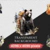 Black Bears Clipart Bundle - 200+ transparent PNG, Woodland creature illustrations, Majestic bear graphics, Commercial use, Digital download