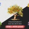 Trees Watercolor Clipart Bundle - 738+ transparent PNG, Scenic tree and landscape graphics, Green nature, Commercial use, Digital download