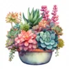 19 High-Quality Boho Succulent Pot Clipart - Succulent pot digital watercolor JPG instant download for commercial use - Digital download