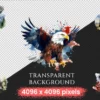 Eagles Watercolor Clipart Bundle - 177+ transparent PNG, Forest eagle illustration, Alpine bird graphics, Commercial use, Digital download