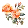 20 High-Quality Orange Rose Clipart - Orange rose digital watercolor JPG instant download for commercial use - Digital download