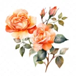20 High-Quality Orange Rose Clipart - Orange rose digital watercolor JPG instant download for commercial use - Digital download