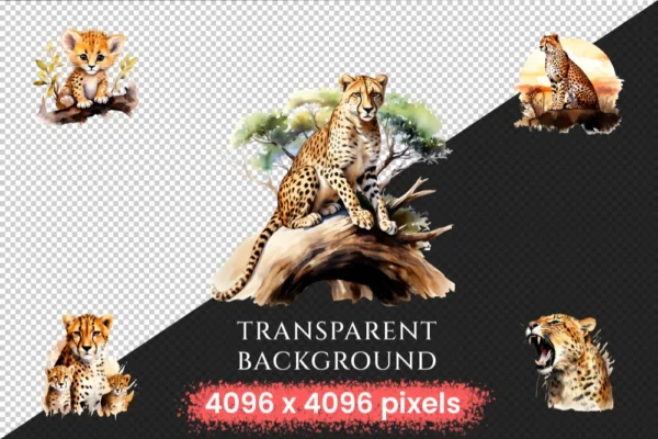 Cheetah Watercolor Clipart Bundle - 211+ transparent PNG, Safari cheetah graphics, Wild savanna images, Commercial use, Digital download