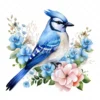 19 High-Quality Floral Blue Jay Clipart - Floral blue jay digital watercolor JPG instant download for commercial use - Digital download