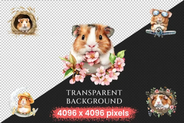 Guinea Pigs Watercolor Clipart Bundle - 365+ transparent PNG, Adorable hamster graphics, Cute pet images, Commercial use, Digital download