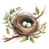 20 High-Quality Bird Nest Clipart - Bird nest digital watercolor JPG instant download for commercial use - Digital download