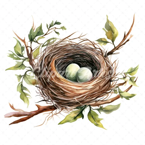 20 High-Quality Bird Nest Clipart - Bird nest digital watercolor JPG instant download for commercial use - Digital download