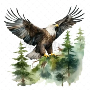 20 High-Quality Forest Eagle Clipart - Forest eagle digital watercolor JPG instant download for commercial use - Digital download