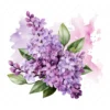 20 High-Quality Lilac Clipart - Lilac flower digital watercolor JPG instant download for commercial use - Digital download
