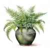 20 High-Quality Fern Antique Pot Clipart - digital watercolor JPG instant download for commercial use - Digital download