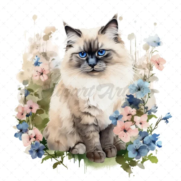 20 High-Quality Ragdoll Cats Clipart - Ragdoll cat digital watercolor JPG instant download for commercial use - Digital download
