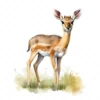20 High-Quality Dik-Dik Antelope Clipart - Dik-dik antelope digital watercolor JPG instant download for commercial use - Digital download