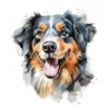 20 High-Quality Australian Shepherd Clipart - Shepherd digital watercolor JPG instant download for commercial use - Digital download