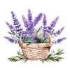 20 High-Quality Lavender Flowers Basket Clipart - Lavender digital watercolor JPG instant download for commercial use - Digital download