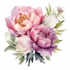 24 High-Quality Iridescent Peony Clipart - Iridescent peony digital watercolor JPG instant download for commercial use - Digital download