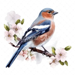 20 High-Quality Chaffinch Clipart - Chaffinch digital watercolor JPG instant download for commercial use - Digital download