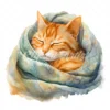 20 High-Quality Cat Sleeping in Shawl Clipart - Sleeping Cat digital watercolor JPG instant download for commercial use - Digital download