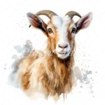 20 High-Quality Kiko Goat Clipart - Kiko goat digital watercolor JPG instant download for commercial use - Digital download