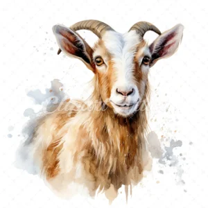 20 High-Quality Kiko Goat Clipart - Kiko goat digital watercolor JPG instant download for commercial use - Digital download