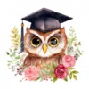 19 High-Quality Graduation Owl Clipart - Graduation owl digital watercolor JPG instant download for commercial use - Digital download