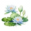 20 High-Quality Water Lily Clipart - Water lily digital watercolor JPG instant download for commercial use - Digital download