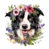20 High-Quality Floral Border Collie Clipart - Border collie digital watercolor JPG instant download for commercial use - Digital download