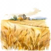 19 High-Quality Wheat Farm Clipart - Wheat farm digital watercolor JPG instant download for commercial use - Digital download