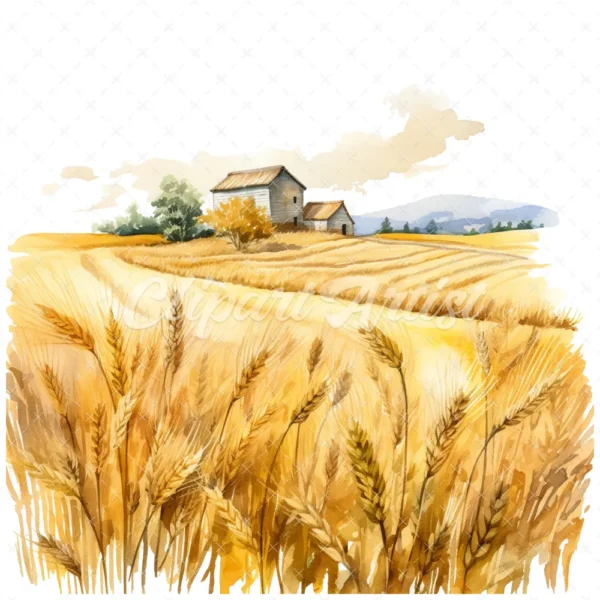 19 High-Quality Wheat Farm Clipart - Wheat farm digital watercolor JPG instant download for commercial use - Digital download