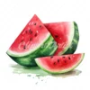 20 High-Quality Watermelon Clipart - Watermelon digital watercolor JPG instant download for commercial use - Digital download