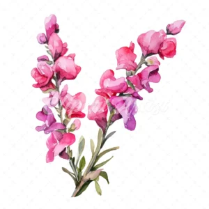 20 High-Quality Snapdragon Clipart - Snapdragon flowers digital watercolor JPG instant download for commercial use - Digital download