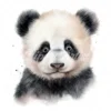 20 High-Quality Baby Panda Portrait Clipart - Panda Portrait digital watercolor JPG instant download or commercial use - Digital download