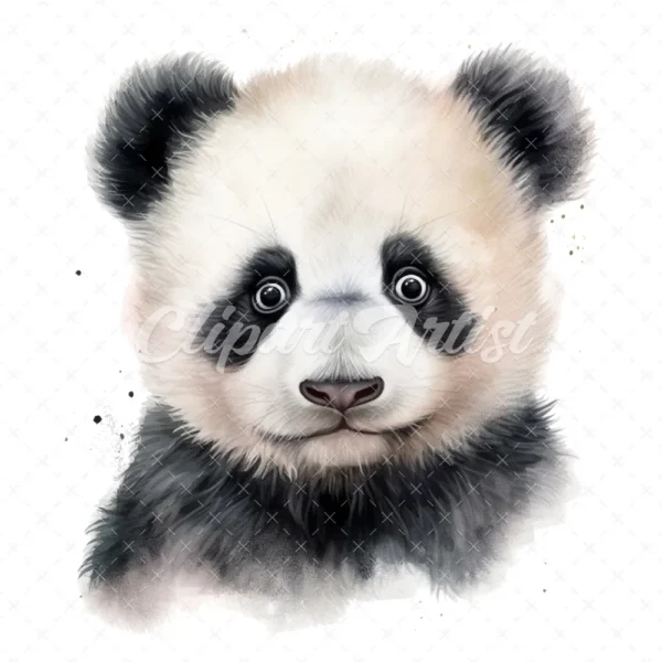 20 High-Quality Baby Panda Portrait Clipart - Panda Portrait digital watercolor JPG instant download or commercial use - Digital download