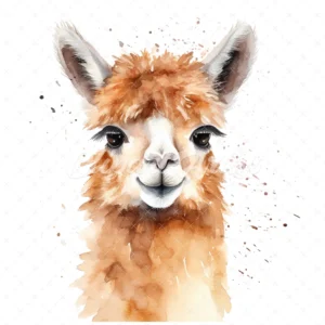 20 High-Quality Alpaca Portrait Clipart - Alpaca digital watercolor JPG instant download for commercial use - Digital download