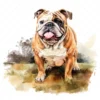 20 High-Quality Bulldog Clipart - Bulldog dog digital watercolor JPG instant download for commercial use - Digital download