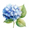 20 High-Quality Hydrangea Clipart - Hydrangea flower digital watercolor JPG instant download for commercial use - Digital download