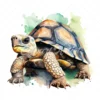 20 High-Quality Cute Tortoise Clipart - Cute tortoise digital watercolor JPG instant download for commercial use - Digital download